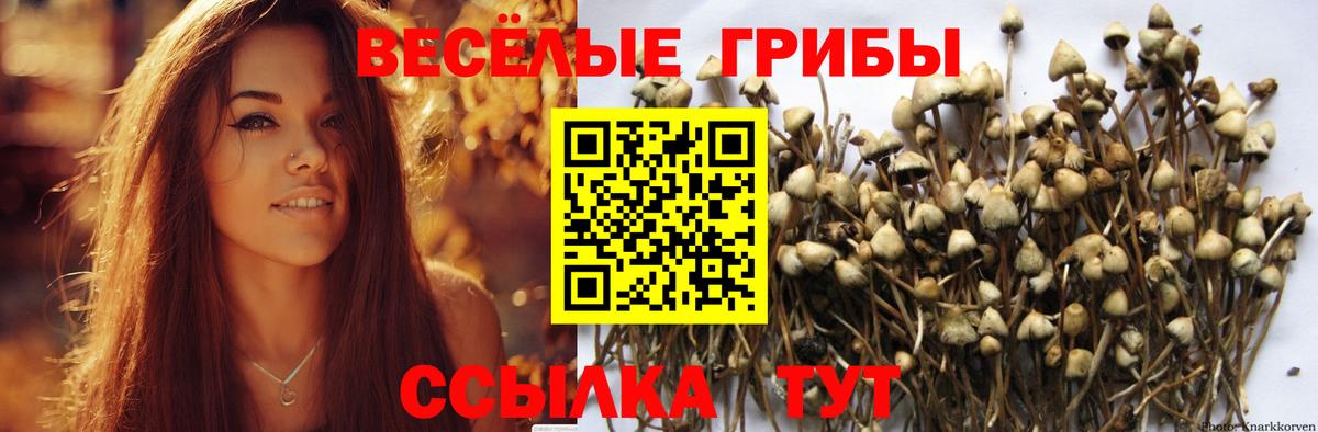 Галлюциногенные грибы мицелий Ишимбай
